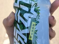 -红山国家森林公园