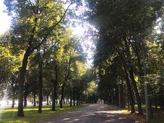 -莫斯科大学