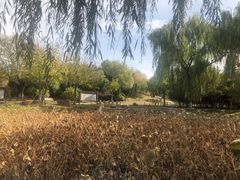 -石家庄市植物园