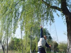 -昆山城市生态森林公园