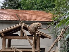 -石家庄市动物园