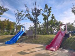 -春花秋色城市公园