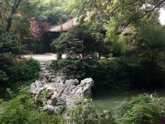 -盆景园(扬州大运河文化旅游度假区)