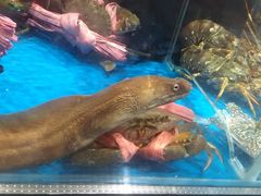 -盒马鲜生(观音桥店)