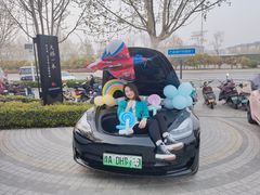 -TESLA 特斯拉(郑州正弘城体验店)