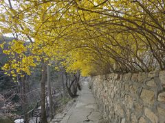 -无染寺