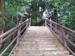 -广东天露山旅游度假区