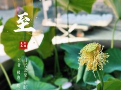 -三里河公园