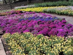 -贵州省植物园
