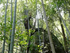 -祁门牯牛降观音堂风景区