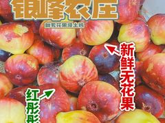 -银峰农庄·特色烧鸡·鲜无花果浸鸡