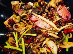 -食乐佳麻辣香锅(森林摩尔商业街区店)