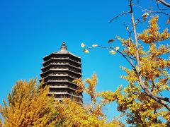 -玲珑塔公园