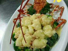 -欢乐海岸美食联盟