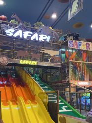 -卡通尼·Safari非洲探索乐园·生日会(金桥国际商业广场店)