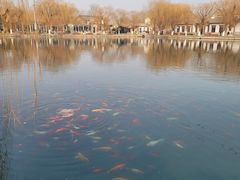 -咱家王新国把子肉(县东巷店)