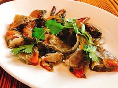 -百年银屏蚝烙·潮汕菜·非遗(乐山店)