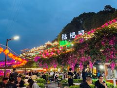 -枇杷园食为鲜火锅(南山店)