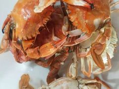-叶存利海鲜大馅饺子(东戴河止锚湾店)