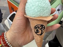 -野人先生现做冰淇淋(北京顺义祥云小镇店)