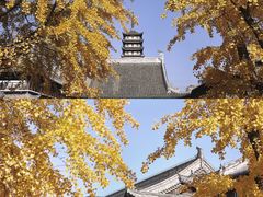 -真如寺