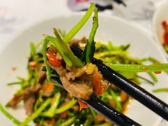 -壹盏灯(惠农店)