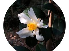 -宝界山林公园