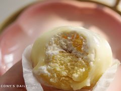 -向阳松鼠(恒大店)