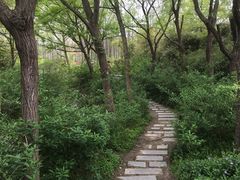 -新江湾城公园