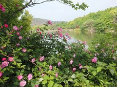 -白马涧龙池景区