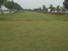-漕湖湿地公园