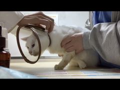 -宠颐生宠物医院外科·内科·皮肤科·影像科(石龙店)