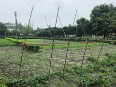 -洪湖家庭农场·团建·露营·会议