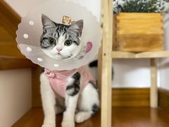 -达爱动物医院·犬猫分区·CT·复杂眼科(远洋山水分院)