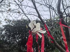 -长春观