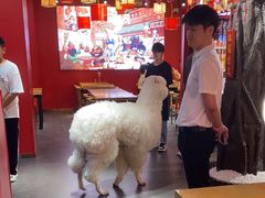 -三顾烤庐·烤鱼·烧烤·龙虾(奉贤店)