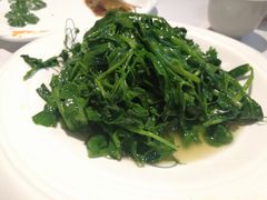 清炒豆尖-峨嵋酒家总店(车公庄店)