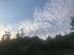 -新丰小吃(闻兴路分店)