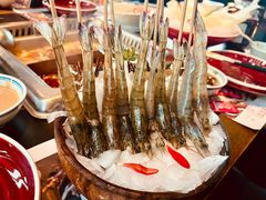 -大隐·成都火锅Bistro(合生麒麟新天地店)