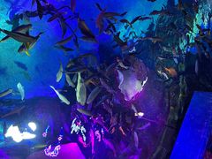 -沈阳海洋探索中心