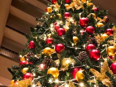 -马哥孛罗咖啡厅·Cafe Marco (厦门马哥孛罗东方大酒店)