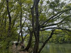 -西溪南古村落