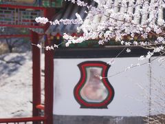 -颐和园