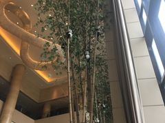 -成都保利公园皇冠假日酒店(熊猫基地店)