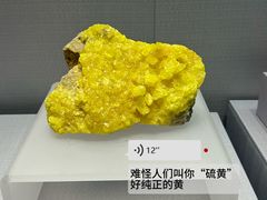 -湖南省地质博物馆