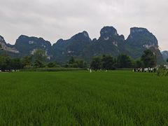-明仕田园