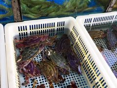 -老东镇啤酒屋海鲜加工·蒸汽海鲜·海鲜烧烤(台东店)