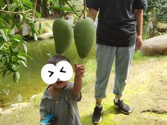 -南通洲际绿博园