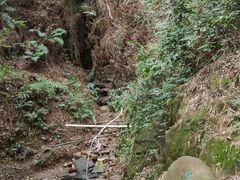 -羚羊峡古栈道森林公园