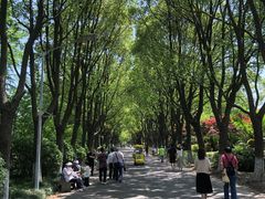 -上海鲜花港